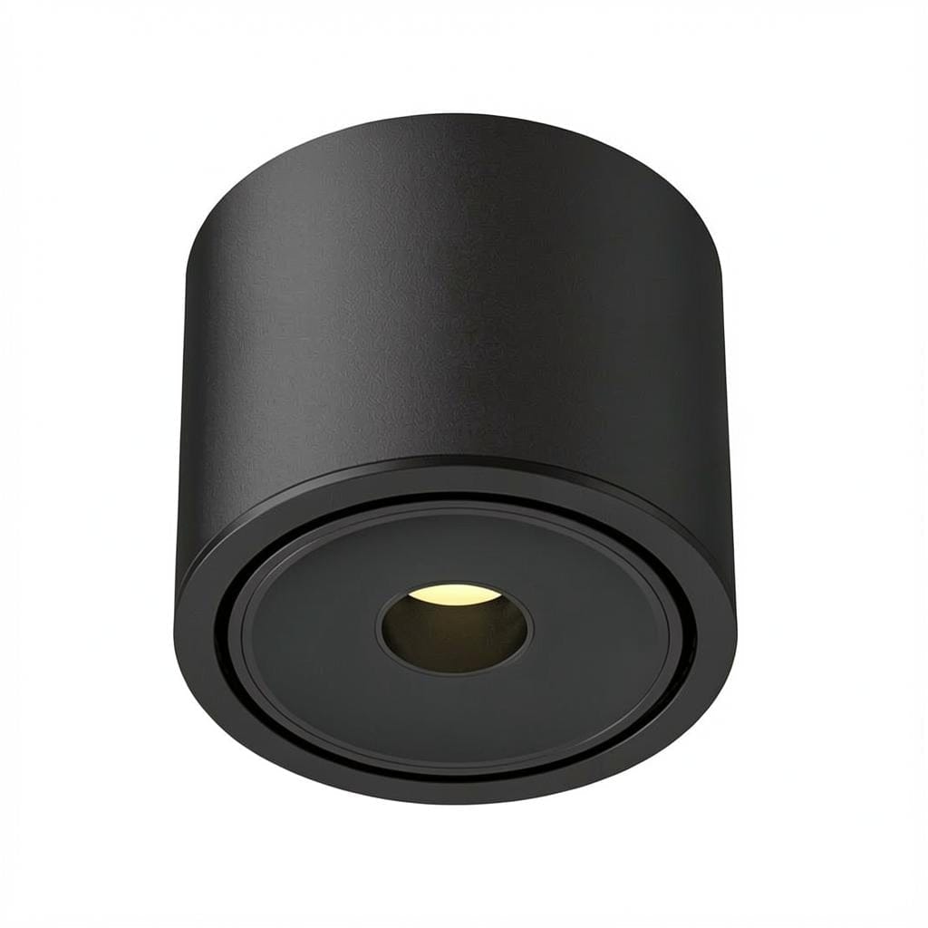 Ysolenyae Deux | Surface Mounted Light