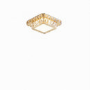 Arvalyn | Ceiling Mounted Light