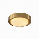 Daelithwen | Ceiling Mounted Light