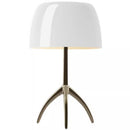 Reginato | Shaded Table Lamp