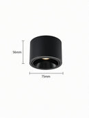 Jonvaleriae | Surface Mounted Light