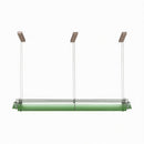 Amrenia | Pendant Light