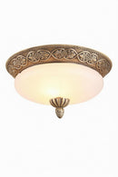 Elarithra | Ceiling Mounted Light