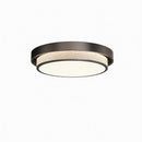 Darieneth B | Ceiling Mounted Light