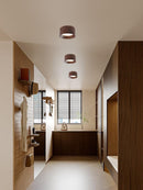Serindil Une I Ceiling Mounted Light