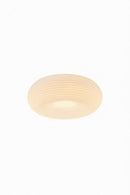 Valorina I Ceiling Mounted Light