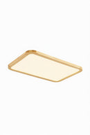 Rozner Deux | Ceiling Mounted Light
