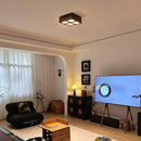 Jarnathiel | Surface Mounted Light