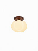 Salowyn I Semi Flush Mounted Light