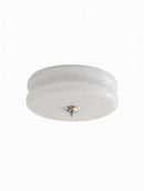 Myrenra | Ceiling Mounted Light