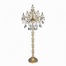 Daryntha I Crystal Floor Lamp
