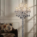 Daryntha I Crystal Floor Lamp