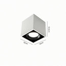 Luravynor Deux | Surface Mounted Light