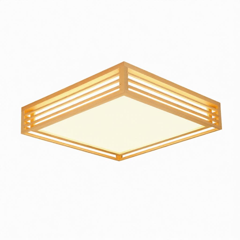 Iselwyn | Ceiling Mounted Light