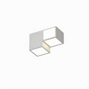Eolwynn A | Ceiling Mounted Light