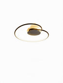 Tarniella | Ceiling Mounted Light