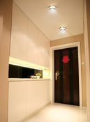 Sylaranthira | Surface Mounted Light