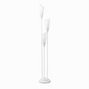 Haulcy | Floor Lamp