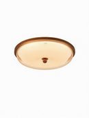 Daelina B | Ceiling Mounted Light
