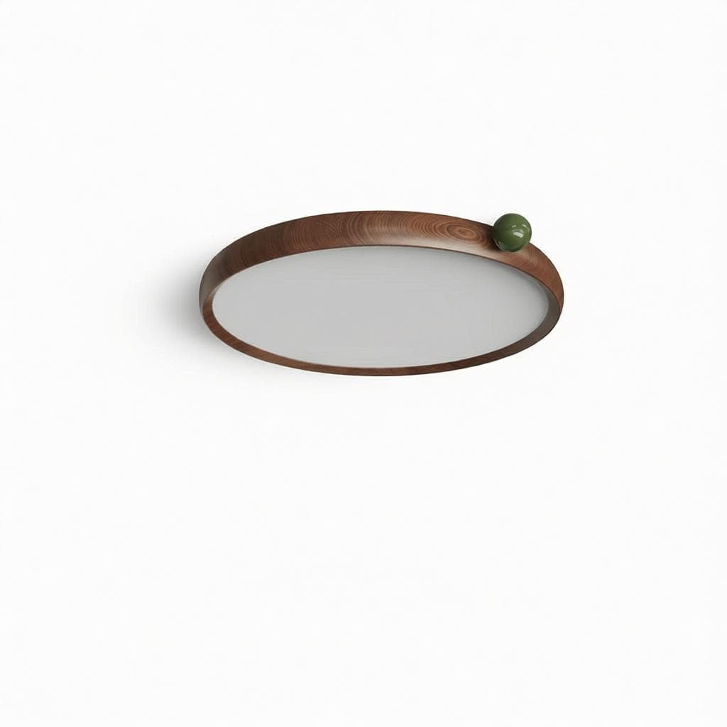 Mirivra | Ceiling Mounted Light