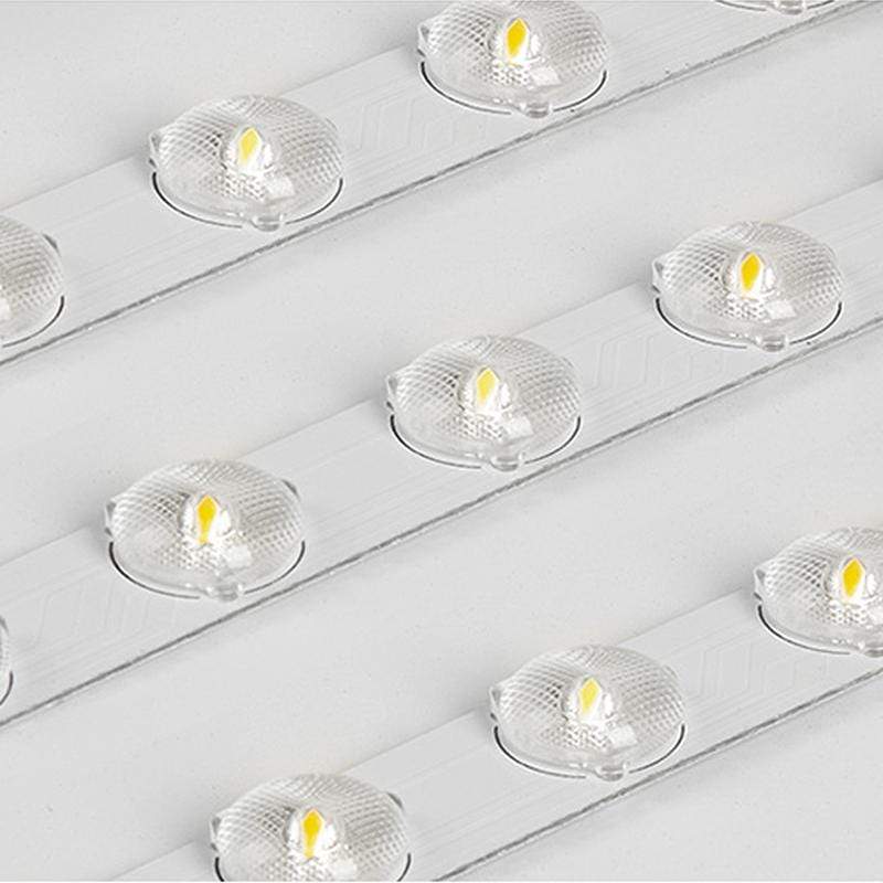 Baron Deux | 2 Color Ceiling Mounted Light