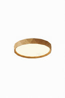Torellia A | Ceiling Mounted Light