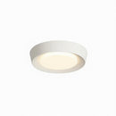 Haugrud | Ceiling Mounted Light
