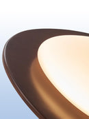 Pavis | Ceiling Mounted Light
