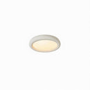 Mcnerlin | Ceiling Mounted Light