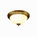 Sioraelis | Ceiling Mounted Light