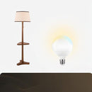 Ravynne | Integrated Shelf Floor Lamp