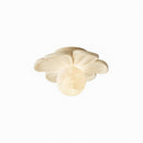 Cairinna A | Ceiling Mounted Light