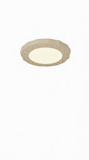 Froemke | Ceiling Mounted Light