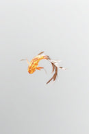 Velthun | Pendant Light