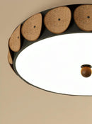 Torietha | Ceiling Mounted Light