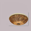 Tylanda | Ceiling Mounted Light