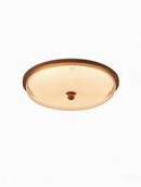 Daelina B | Ceiling Mounted Light