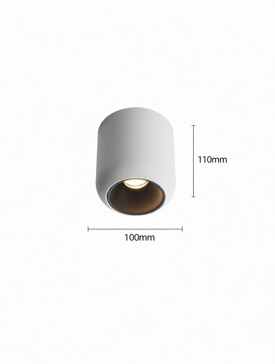 Lyrellanora | Surface Mounted Light