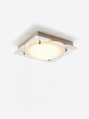 Tharionae I Ceiling Mounted Light