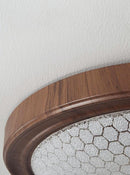 Faelvyn | Ceiling Mounted Light