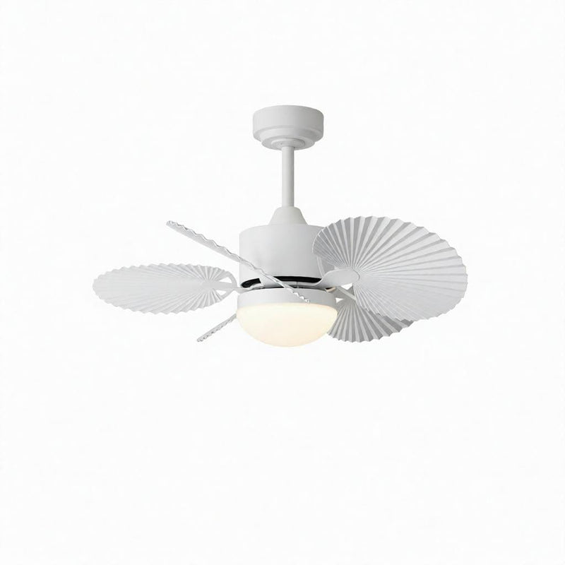 Korrin | Outdoor Lighted Ceiling Fan