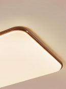 Sirenean S | Ceiling Mounted Light