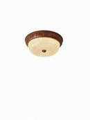 Lefeld | Ceiling Mounted Light