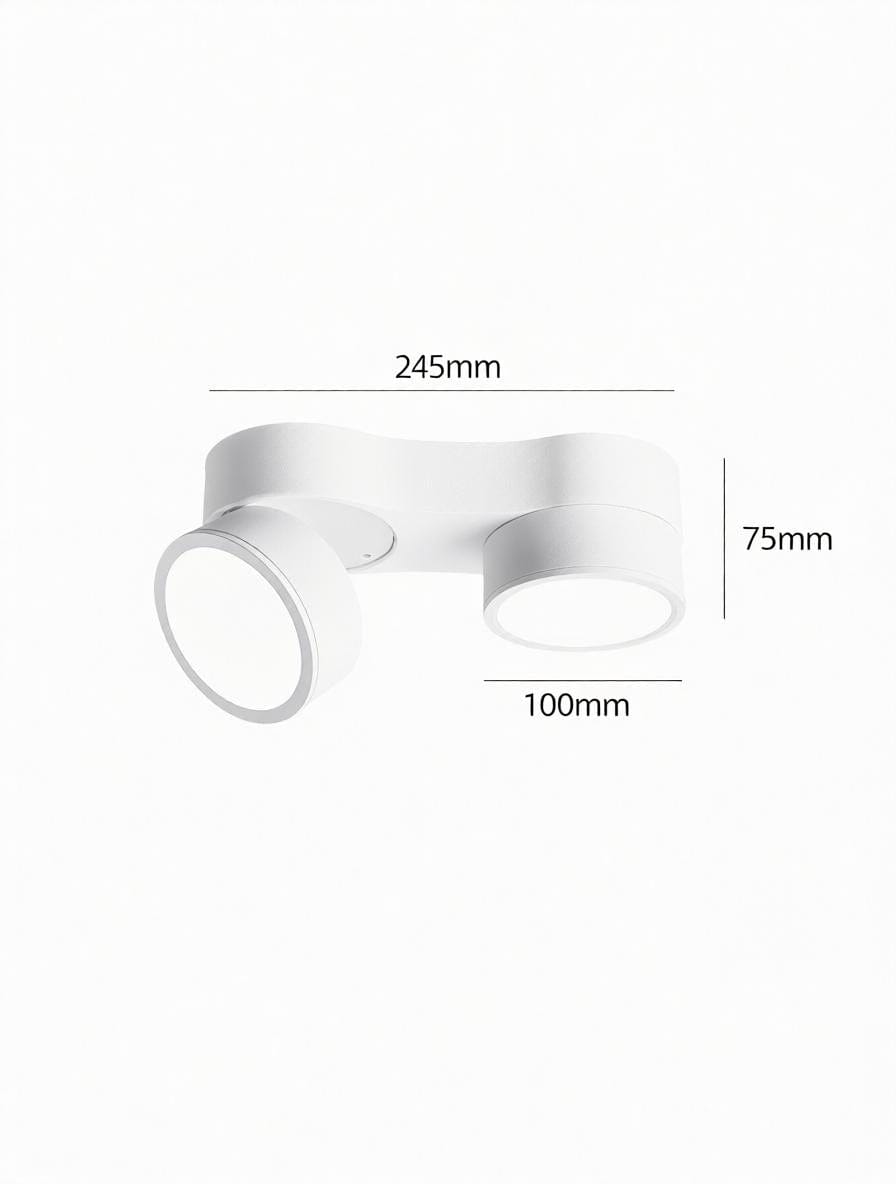 Kelryssarae | Surface Mounted Light