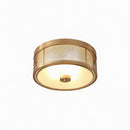 Daelithas | Ceiling Mounted Light