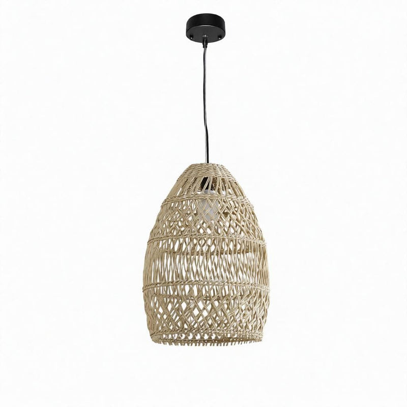 Feylynn | Outdoor Pendant Light