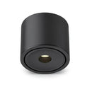 Ysolenyae Deux | Surface Mounted Light