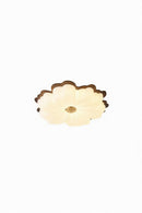 Trivare | Ceiling Mounted Light