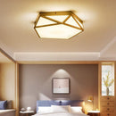 Daelisara | Ceiling Mounted Light
