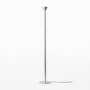 Feldie | Floor Lamp